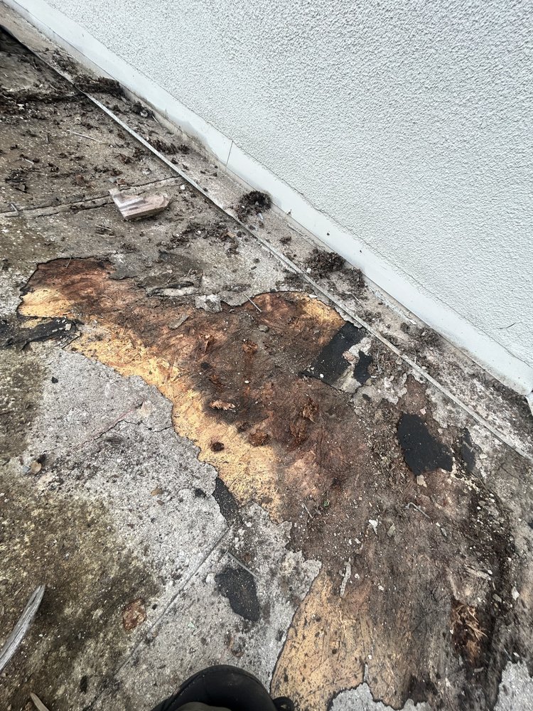 Slide of Early Roofing Rosendo