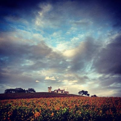 Stolpman Vineyards - Los Olivos Tasting Room by null