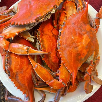 JC Crab House - Steamed crabs w/o seasoning****yummy - Seafood Near Me - Silver Spring, Maryland JC Crab House - Steamed crabs w/o seasoning****yummy - Seafood Near Me - Silver Spring, Maryland