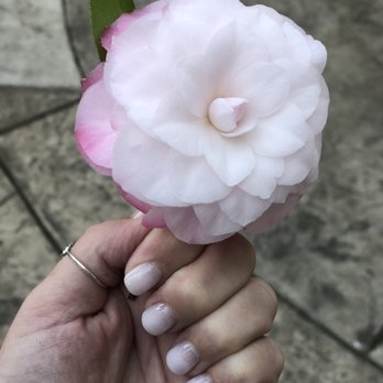 New York Nails Salon - Nail Salons Near Me - Alamo, California New York Nails Salon - Nail Salons Near Me - Alamo, California