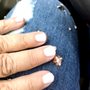 Photo of Euro Nails