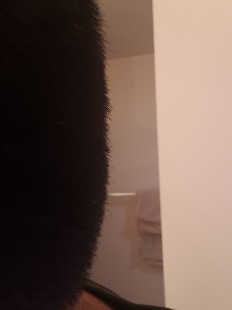 DINA’S GREAT CUTS Updated October 2024 14 Reviews 718 E 31st St