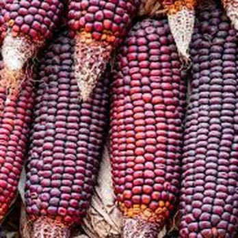 Hoppin Johns - Johnny Red Corn. We use this to make our smoked Gouda grits and also our Hoe cakes with. Love to use these types of Heirloom products. - Southern Near Me - Charlotte, North Carolina
