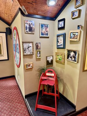 Yellow Dog Eats by null