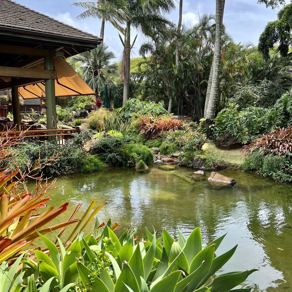 Keoki's Paradise - Pleasant surroundings with Hawaiian music playing in background while enjoying lunch. - Seafood Near Me - Koloa, Hawaii