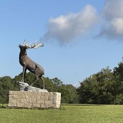 Florida Elks Youth Camp - Enter