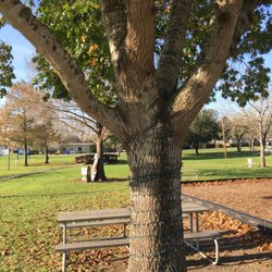 Yoakum Centennial Park