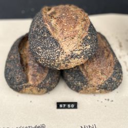 Out of Thin Air - Mini Sesame