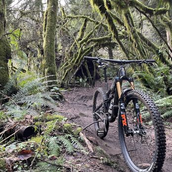 Tiger Mountain State Forest - Parks Near Me - Snoqualmie, Washington