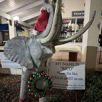 The Sponge Exchange - Shopping Near Me - Tarpon Springs, Florida