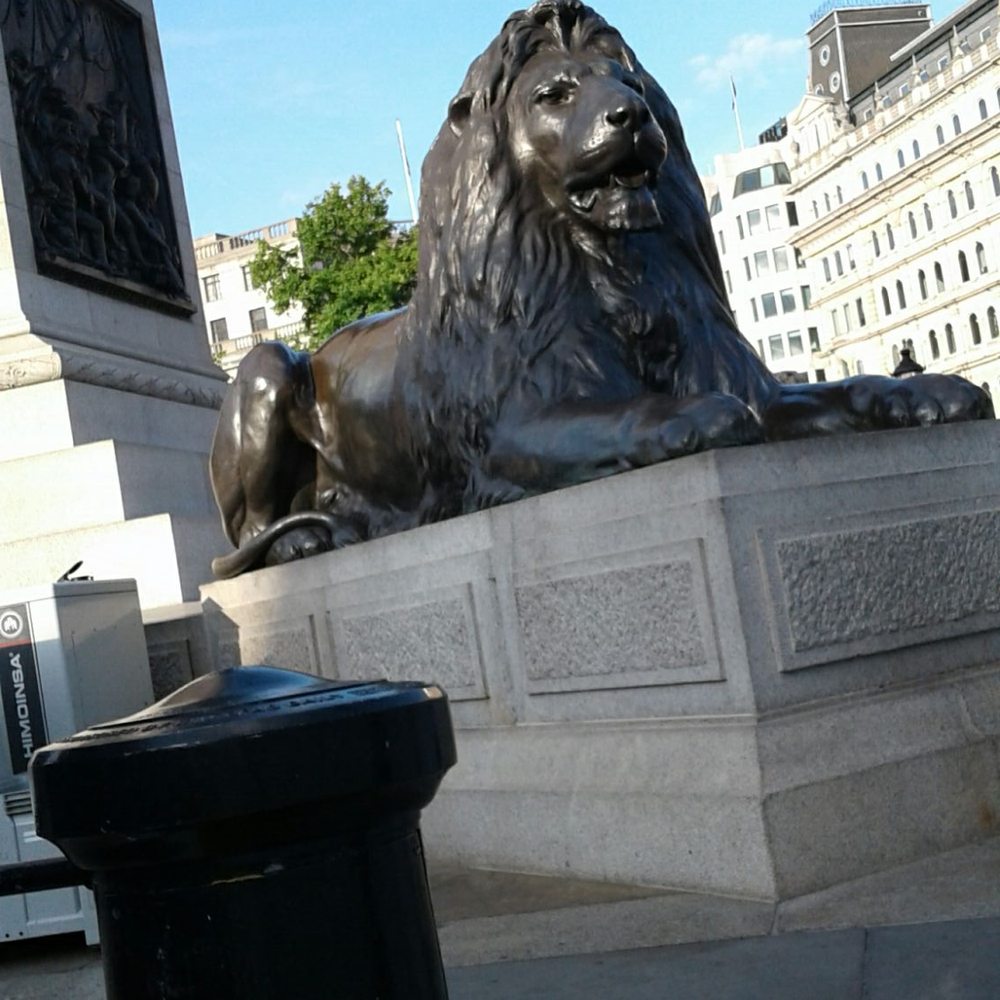 Trafalgar Square - Lion - Landmarks & Historical Buildings Near Me - London, XGL
