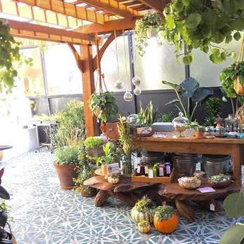 Venice Roots - Patio space - Used, Vintage & Consignment Near Me - Los Angeles, California Venice Roots - Patio space - Used, Vintage & Consignment Near Me - Los Angeles, California
