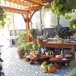 Venice Roots - Patio space