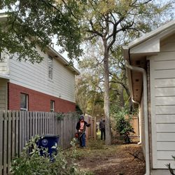 Tree trimming in action