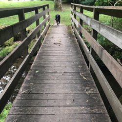 Kanawha State Forest