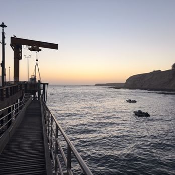 Wharf Master's Inn - Hotels Near Me - Point Arena, California