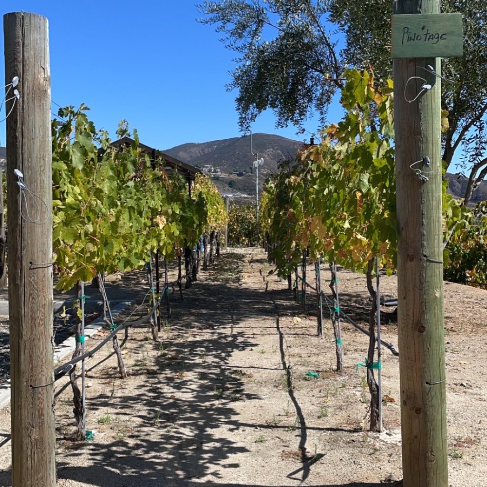 Oak Mountain Winery - Wineries Near Me - Temecula, California Oak Mountain Winery - Wineries Near Me - Temecula, California