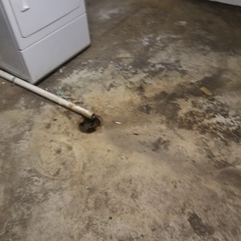 Celtic Property Management - Rampant mold in laundry room. This was brought to the attention of Celtic Property Mgmt. when they purchased the property. Didn't fix it - Property Management Near Me - Kansas City, Missouri Celtic Property Management - Rampant mold in laundry room. This was brought to the attention of Celtic Property Mgmt. when they purchased the property. Didn't fix it - Property Management Near Me - Kansas City, Missouri