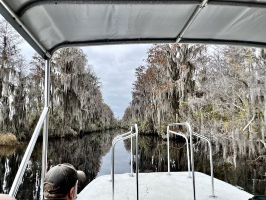 Okefenokee National Wildlife Refuge by null