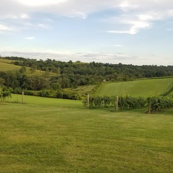 Vernon Vineyards - Wineries Near Me - Viroqua, Wisconsin Vernon Vineyards - Wineries Near Me - Viroqua, Wisconsin