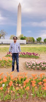 Smile Experts Dental