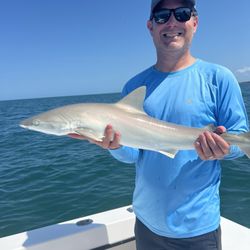AMI Charters