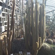 Foto zu Tropengewächshäuser des Botanischen Gartens - Hamburg, Deutschland