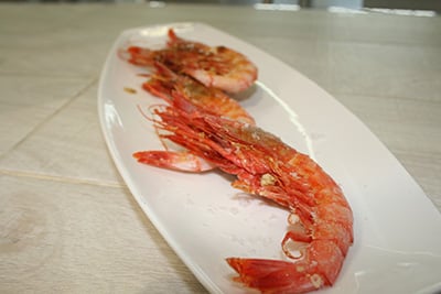 La Medusa 73 by null