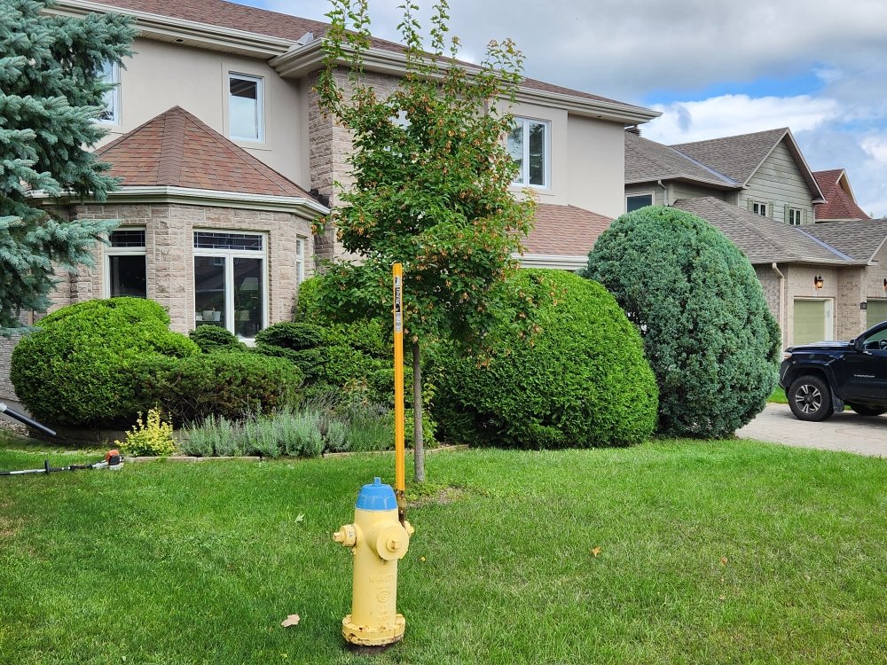 GREEN MACHINE HEDGE TRIMMING 13 Photos Ottawa, Ontario, Canada