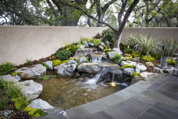 5' x 8' Pond | Pasadena Showcase 2019 - Welcome to our design space at the Pasadena Showcase House of Design. This “oasis” features a beautiful collection of koi fish, gracefully swimming in a 5’x8’ pond.
Our modern, clean-cut paver patio is customized to intertwine with large seating boulders. By bringing the pathway right to the edge of the pond, we showcase our favorite cantilever effect. Softening the design, California-friendly plants and a stunning live plant wall surrounds the area, while lights can be seen hanging from the trees, extending the ambiance into the evening hours. 5' x 8' Pond | Pasadena Showcase 2019 - Welcome to our design space at the Pasadena Showcase House of Design. This “oasis” features a beautiful collection of koi fish, gracefully swimming in a 5’x8’ pond.
Our modern, clean-cut paver patio is customized to intertwine with large seating boulders. By bringing the pathway right to the edge of the pond, we showcase our favorite cantilever effect. Softening the design, California-friendly plants and a stunning live plant wall surrounds the area, while lights can be seen hanging from the trees, extending the ambiance into the evening hours.