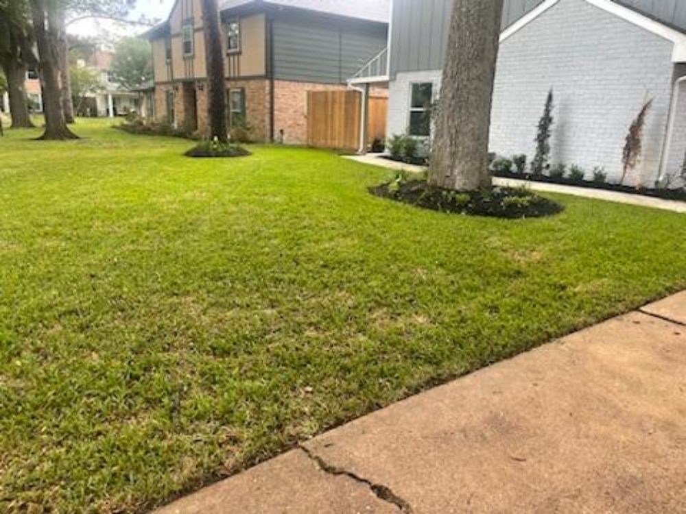 Slide of Cruz Landscape And More