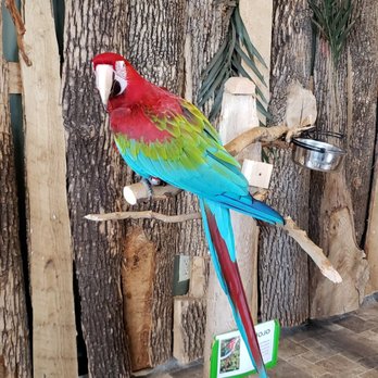 Bird Kingdom - Zoos Near Me - Niagara Falls, Ontario