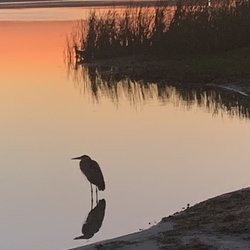Tracy's Point Fish Camp - Morning on the lake