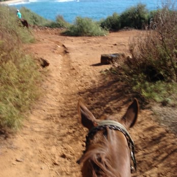 CJM Stables - Horseback Riding Near Me