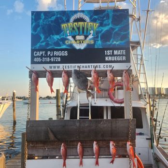 Testify Charters - Our catch! Testify Charters! - Fishing Near Me - Destin, Florida Testify Charters - Our catch! Testify Charters! - Fishing Near Me - Destin, Florida