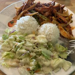 Zen Teriyaki - Hot and Spicy Chicken (T8)