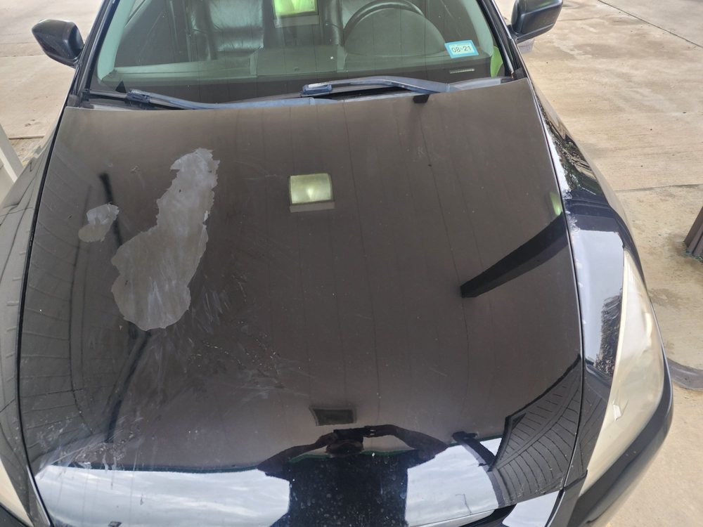 EARL SCHEIB PAINT & BODY Updated August 2024 16 Photos 2581 Royal