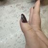 Le Nails gift card