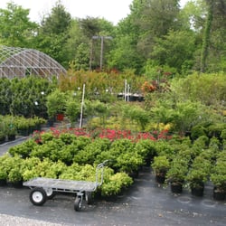 Nursery Plants OnCall! Many varieties of Shrubs and Trees.
