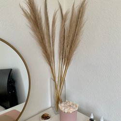 Pampas and preserved roses