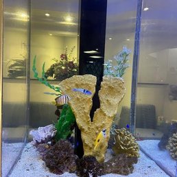 Beautiful tropical fish tank in lobby. Beautiful tropical fish tank in lobby.