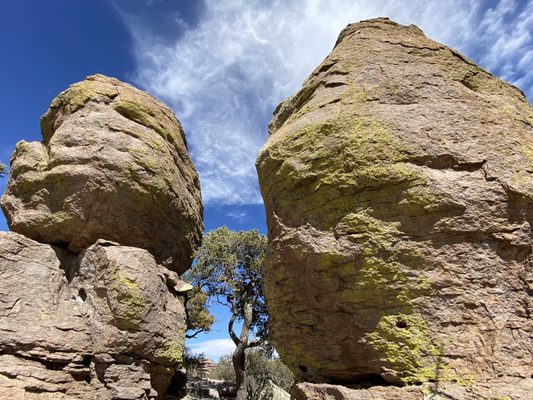 Chiricahua National Monument by null