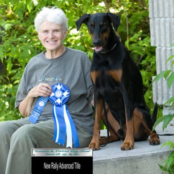 Tails Up Dog Training - Pet Training Near Me - Eagan, Minnesota