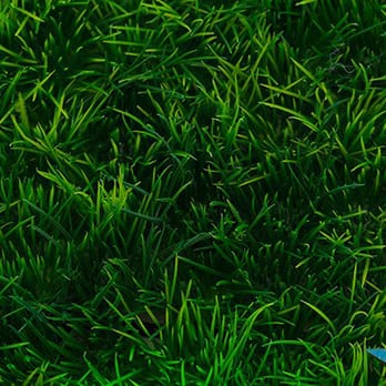 Rolling Hills Nursery Landscaping 3860 Us Hwy 641 N Murray Ky Phone Number