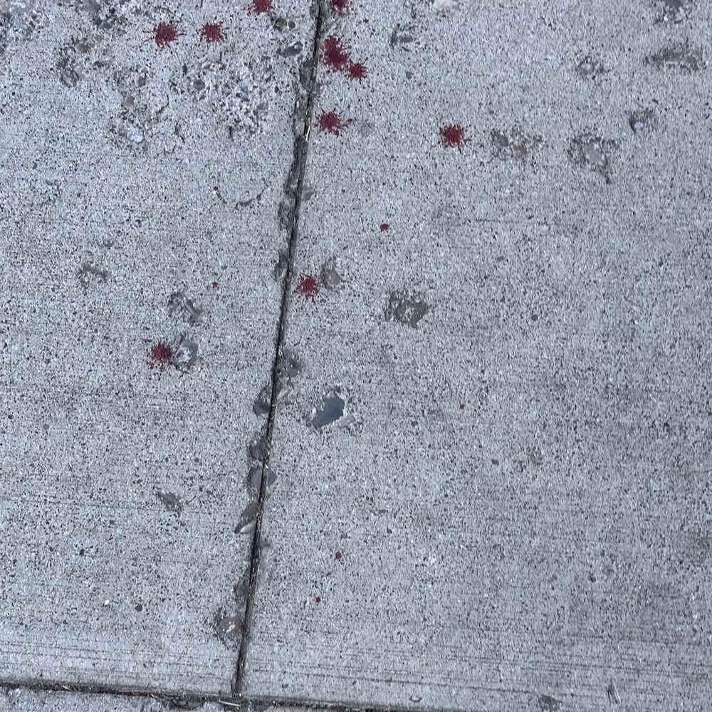 Sidewalk in front Sidewalk in front