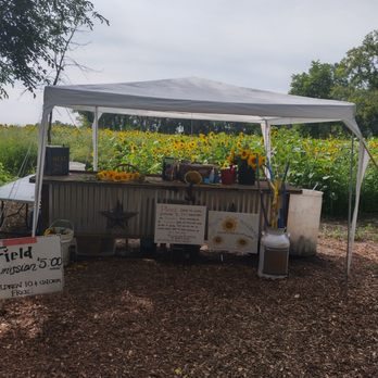 Oak Rest Farms - Entrance. There is a box to leave admission. - Farms Near Me - Burlington, Wisconsin Oak Rest Farms - Entrance. There is a box to leave admission. - Farms Near Me - Burlington, Wisconsin