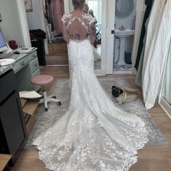 The Dress Whisperer