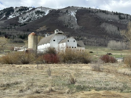 McPolin Barn by null