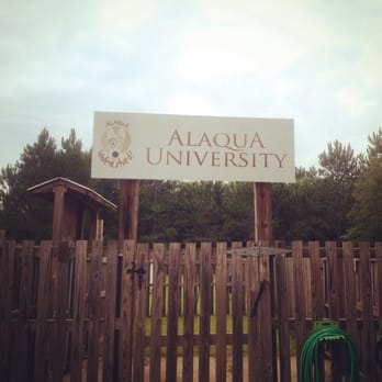 Alaqua Unleashed Bark Park - Dog Parks Near Me - Santa Rosa Beach, Florida