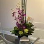 Photo of Flowers by Lucas